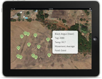 Livestock tracking on an iPad